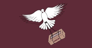 Peace by Piece