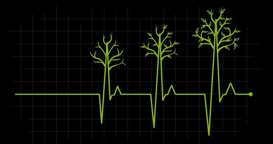 Plant a tree, revive the forest