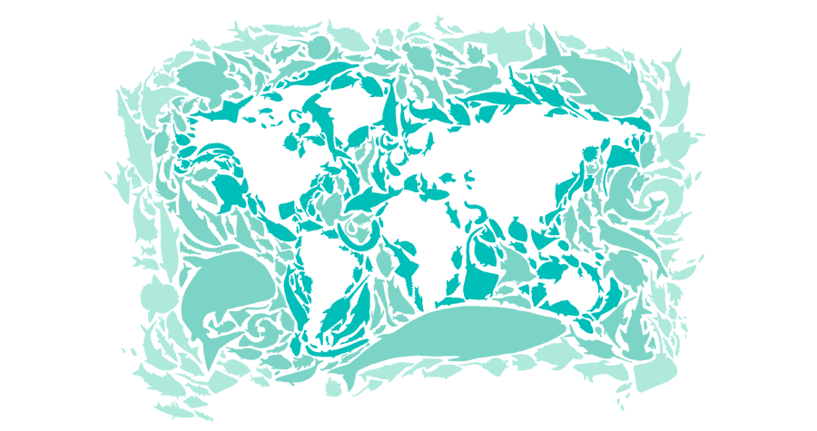 Seas of the Earth