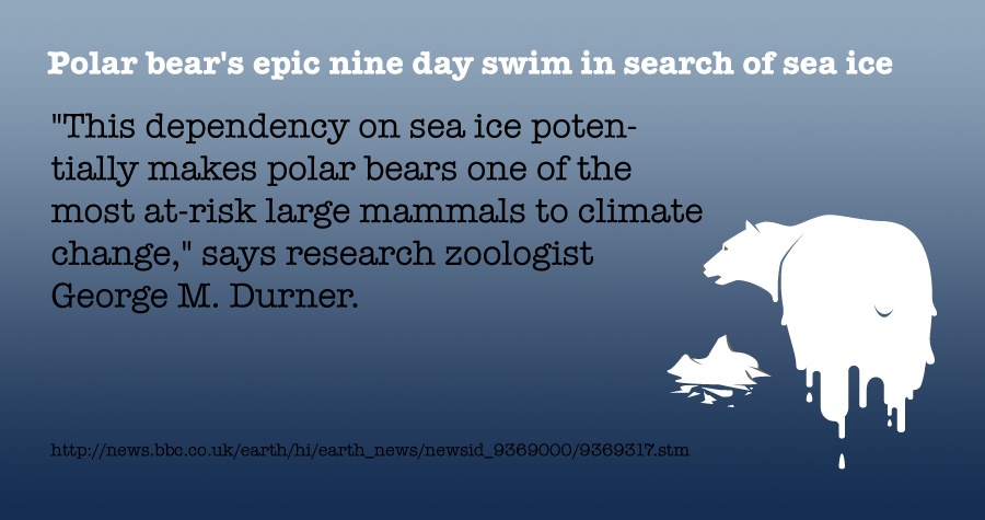 Too hot, Polar Bear!