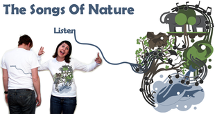 The Songs Of Nature