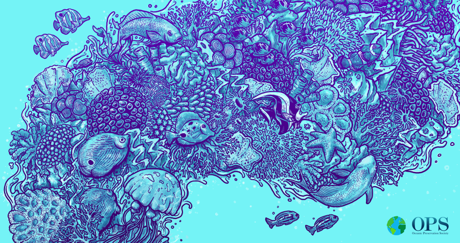 Sounds of the Ocean