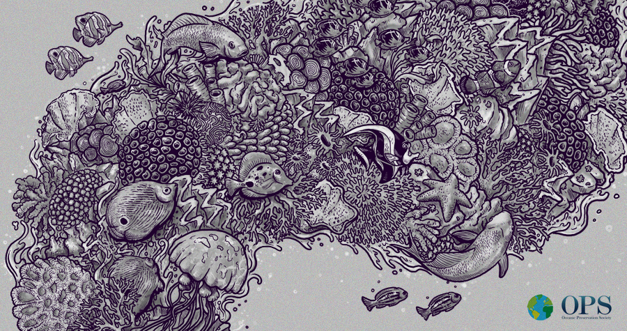 Sounds of the Ocean
