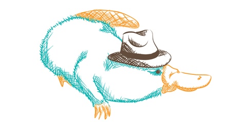 It´s just a platypus!!