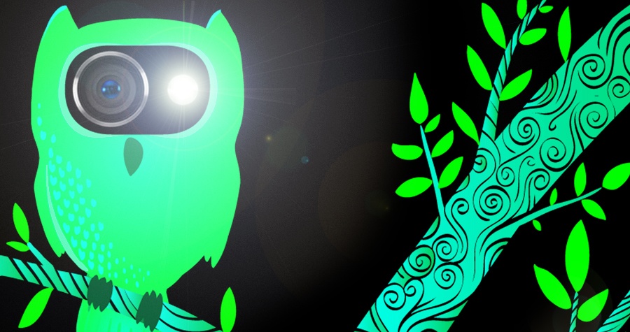 The Beholder