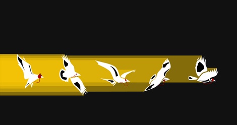 Musical Birds