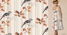 Image representing birds