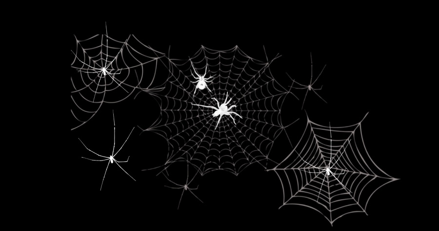 Cob web
