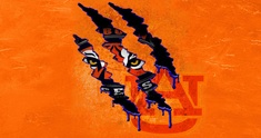 Image representing AUnleashed