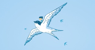 soaring high