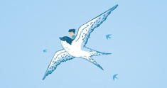 Image representing soaring high