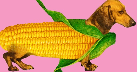 Corn Dog