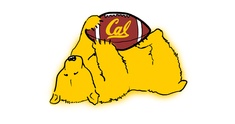 Image representing Pro Since the Cub Years