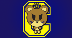 Image representing GOlden Bears