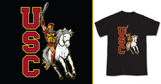 Image representing CONQUEST