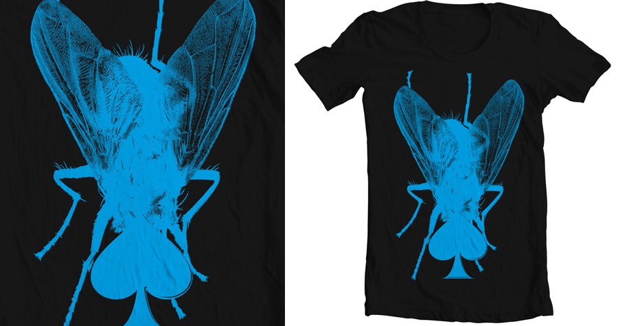 Fly Shit
