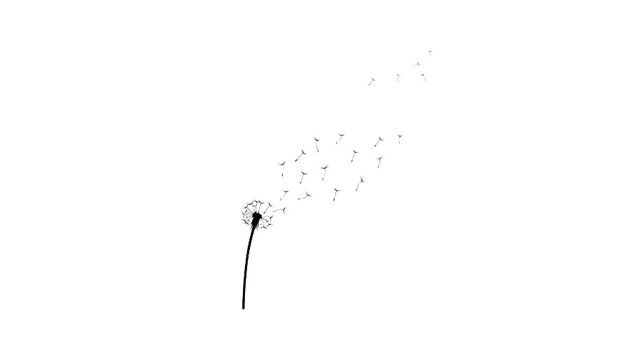 A Wish