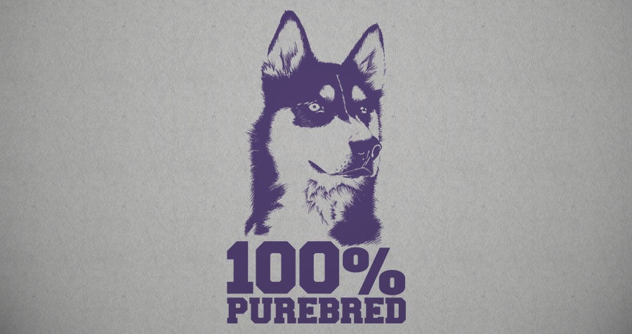 Pedigree