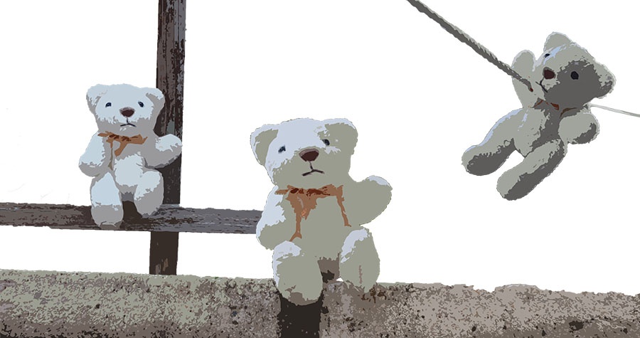 Teddy Adventure