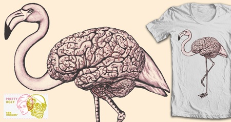 Bird-Brain