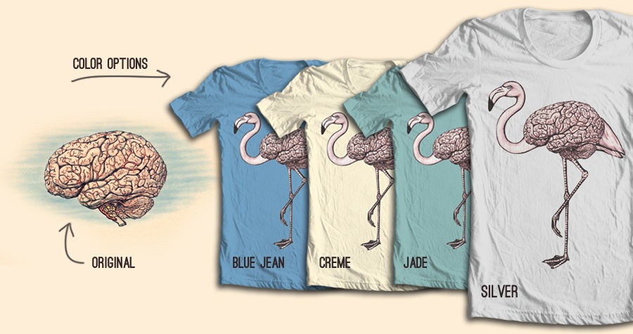 Bird-Brain