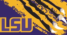 Image representing Geaux Tigers Geaux!!