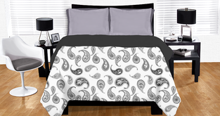 Paisley