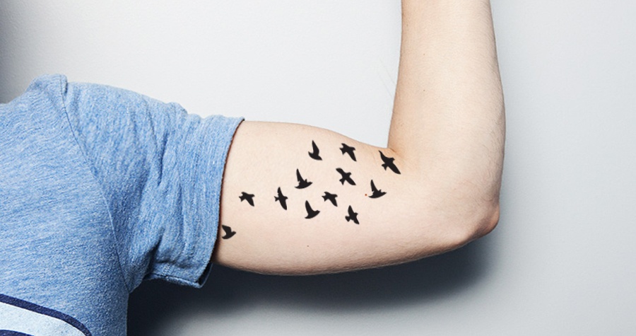Time to soar