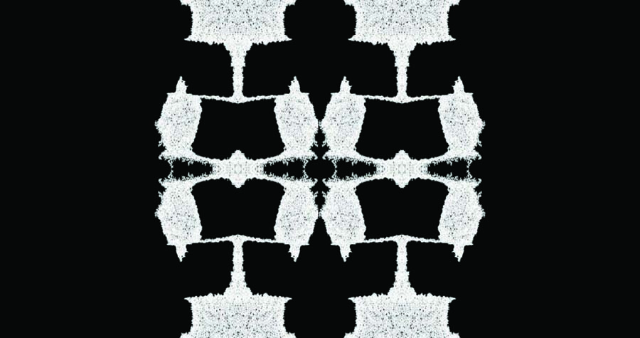 Butterfly Effect