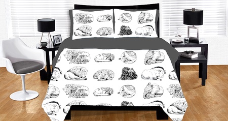 Everybody Sleeps