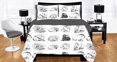Everybody Sleeps
