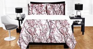 cherry blossoms