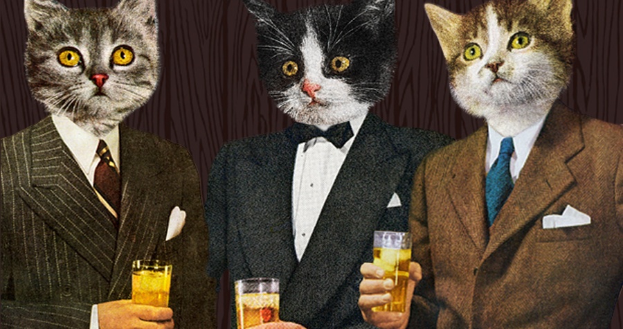 Purrrfect Gentlemen