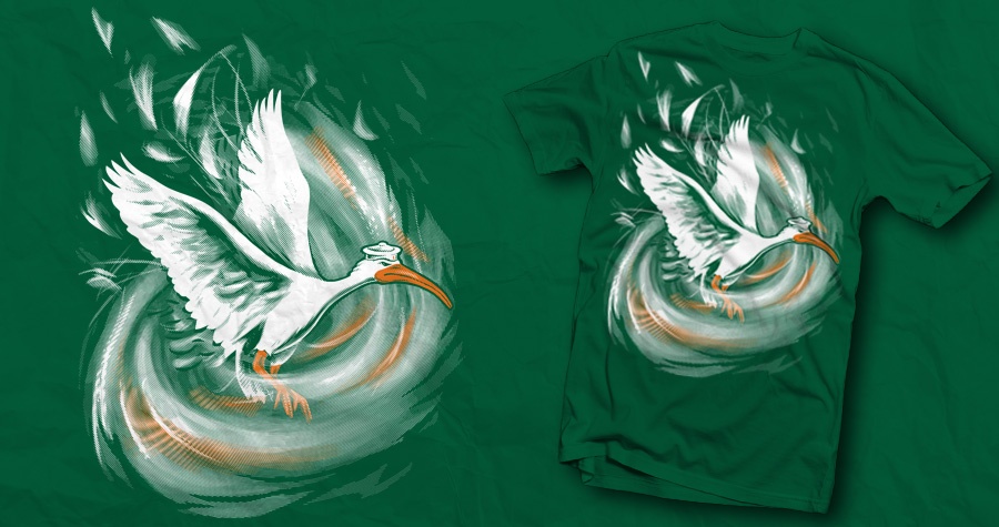 Hurricane Ibis