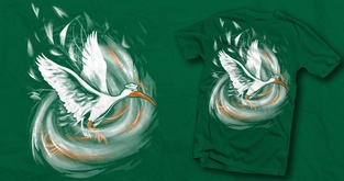 Hurricane Ibis