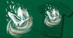 Image representing Hurricane Ibis