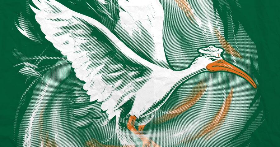 Hurricane Ibis
