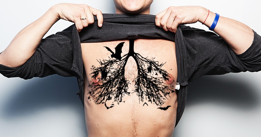 Bats in my lungs