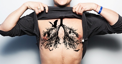 Bats in my lungs