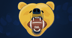 Image representing Go Bears!