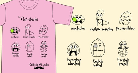 Nut-stache v2