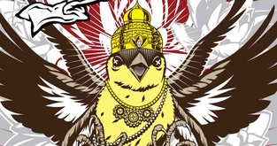 Pale Finch of India