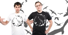 Birds of Peace