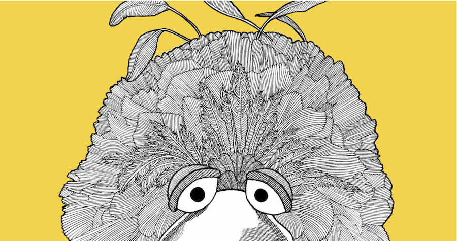 "Never refer to me as an item.  I'm a bird."