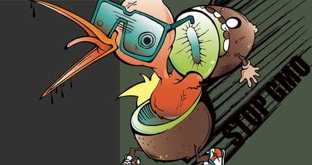 GMO KIWI ? BIRD
