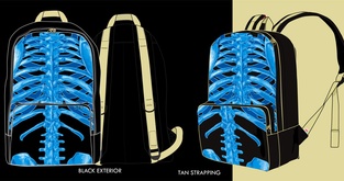 BAX-RAY PACK