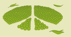 The Peas Corps