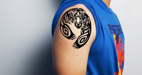 Bear Tribe