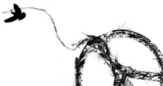 Image representing sewing bird 2