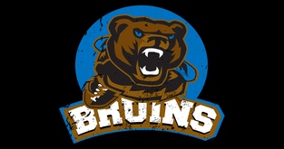 Bruins